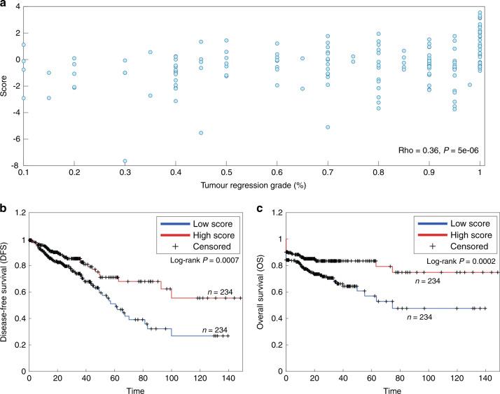 https://cdn.ncbi.nlm.nih.gov/pmc/blobs/9c9a/9381580/c7362b74f2cb/41416_2022_1842_Fig3_HTML.jpg