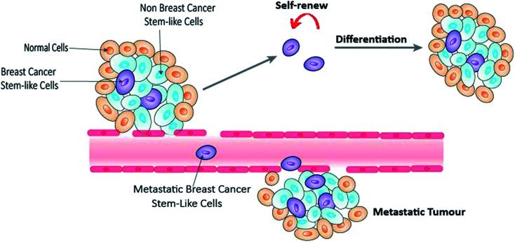 https://cdn.ncbi.nlm.nih.gov/pmc/blobs/9c9b/9054075/95774d38391a/d0ra02801k-f1.jpg