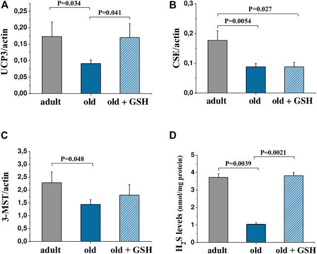 https://cdn.ncbi.nlm.nih.gov/pmc/blobs/9c9b/9868586/10ec51120ad5/fphys-13-1093388-g003.jpg