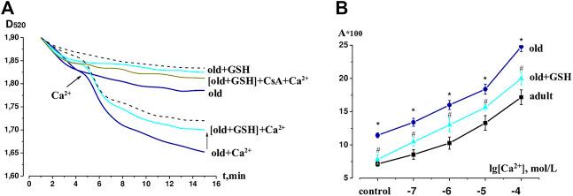 https://cdn.ncbi.nlm.nih.gov/pmc/blobs/9c9b/9868586/37e3263c9fa8/fphys-13-1093388-g002.jpg