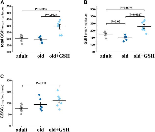 https://cdn.ncbi.nlm.nih.gov/pmc/blobs/9c9b/9868586/3e466dff3a78/fphys-13-1093388-g001.jpg