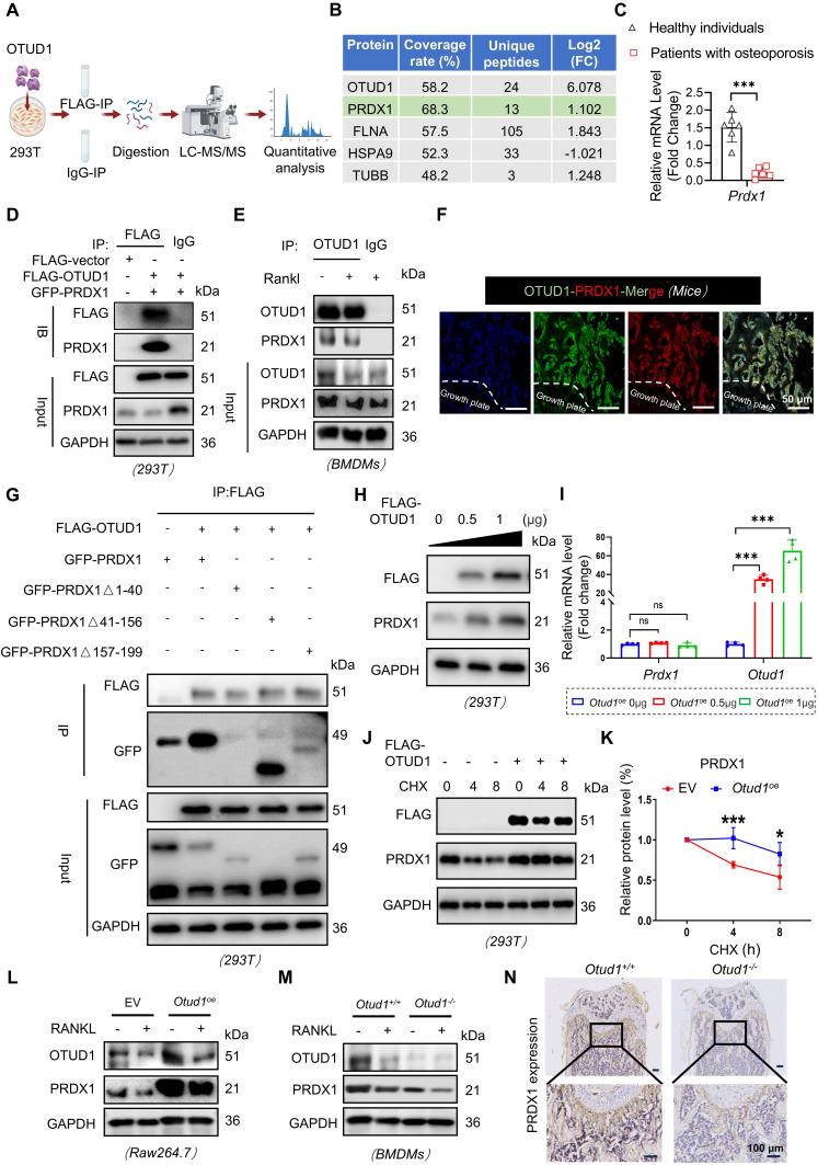 https://cdn.ncbi.nlm.nih.gov/pmc/blobs/9c9c/12203675/2daa1aacb4dc/thnov15p6719g004.jpg