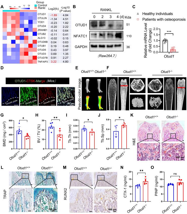 https://cdn.ncbi.nlm.nih.gov/pmc/blobs/9c9c/12203675/2ec84d282f20/thnov15p6719g001.jpg
