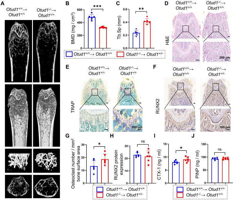 https://cdn.ncbi.nlm.nih.gov/pmc/blobs/9c9c/12203675/5266c8888b51/thnov15p6719g002.jpg