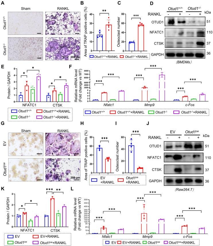 https://cdn.ncbi.nlm.nih.gov/pmc/blobs/9c9c/12203675/853fc45204b5/thnov15p6719g003.jpg