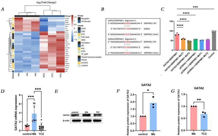 https://cdn.ncbi.nlm.nih.gov/pmc/blobs/9c9d/11850272/0922acd5e597/fmolb-12-1538526-g005.jpg