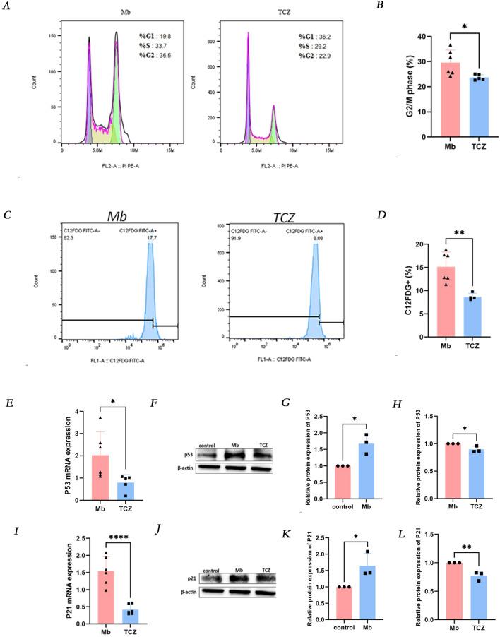 https://cdn.ncbi.nlm.nih.gov/pmc/blobs/9c9d/11850272/33ba22013be1/fmolb-12-1538526-g003.jpg