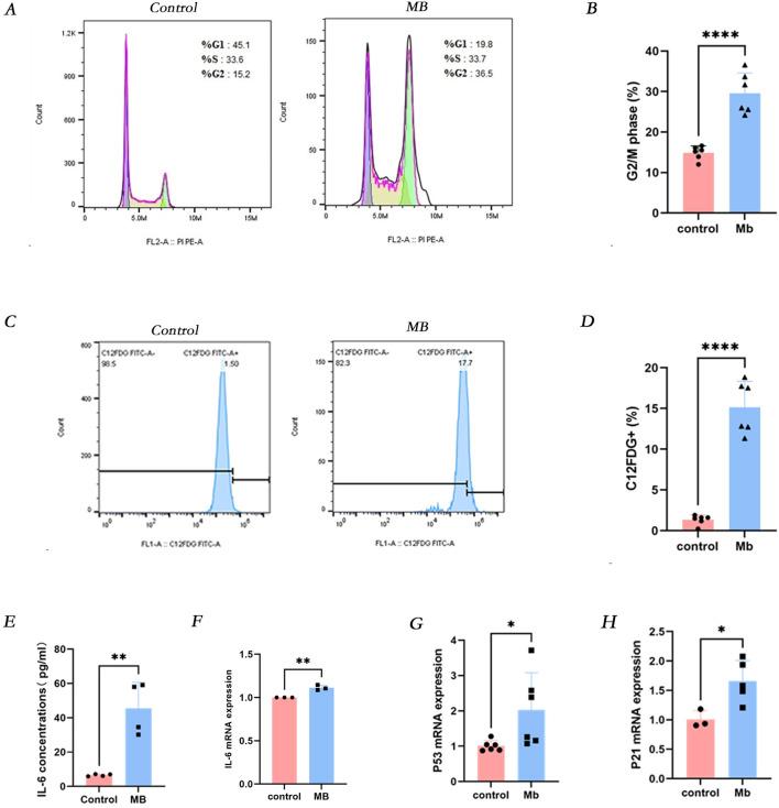https://cdn.ncbi.nlm.nih.gov/pmc/blobs/9c9d/11850272/cdbd21d235fd/fmolb-12-1538526-g002.jpg