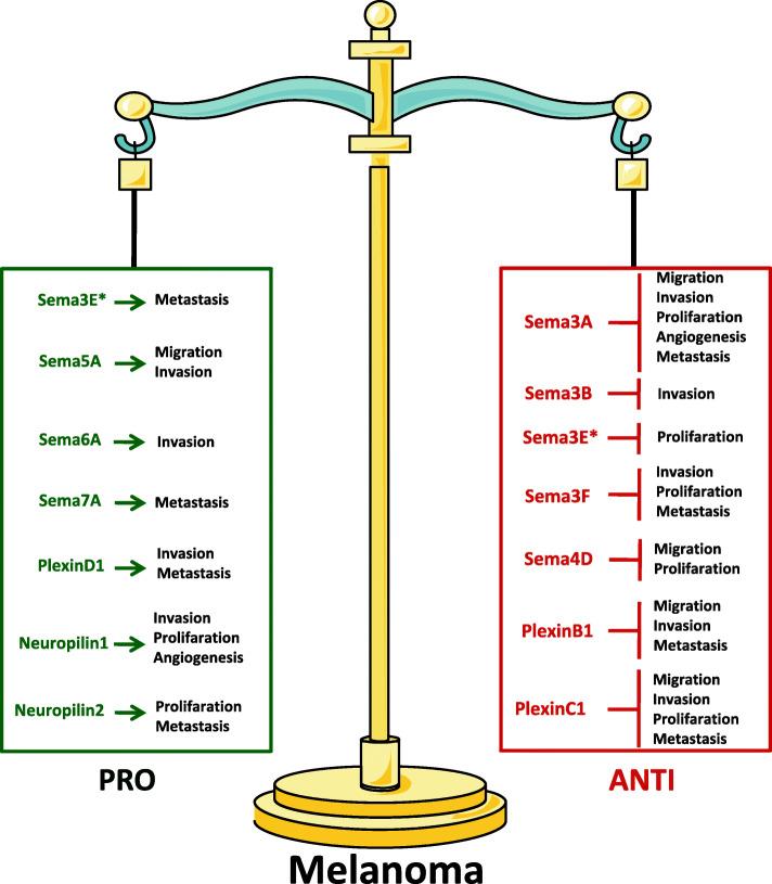 https://cdn.ncbi.nlm.nih.gov/pmc/blobs/9c9d/8050914/e628a395cf3b/13046_2021_1929_Fig1_HTML.jpg