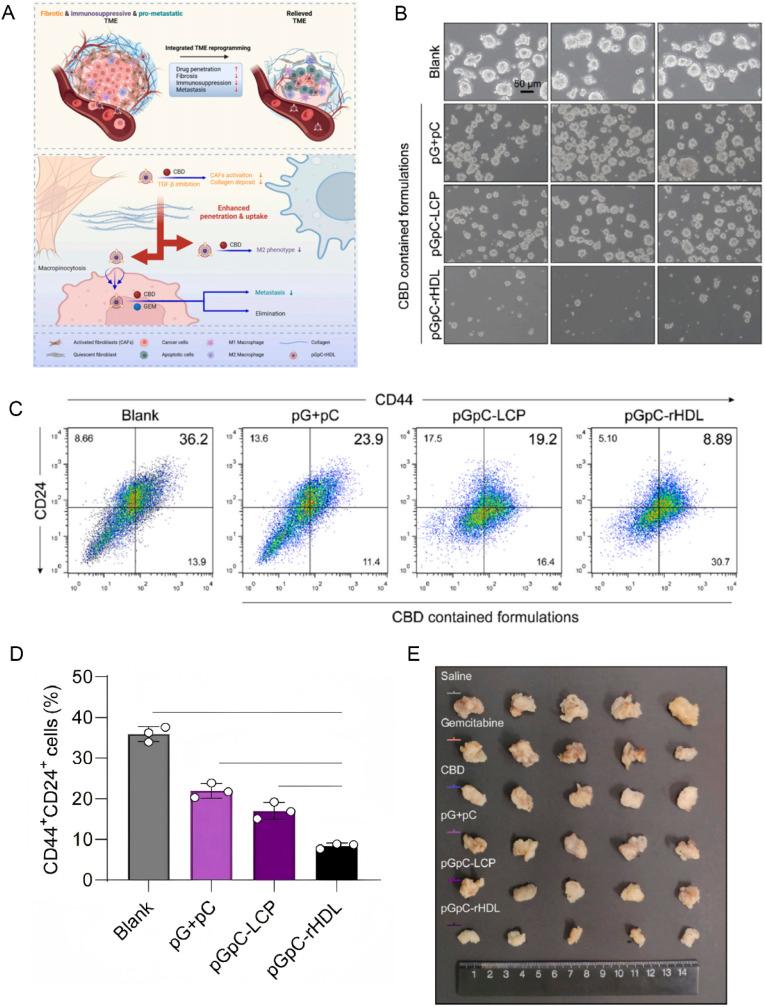 https://cdn.ncbi.nlm.nih.gov/pmc/blobs/9c9e/12371568/2e2542ad9be9/d5na00513b-f9.jpg