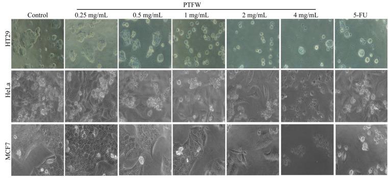 https://cdn.ncbi.nlm.nih.gov/pmc/blobs/9ca2/10673267/9a423cab92af/molecules-28-07557-g003.jpg