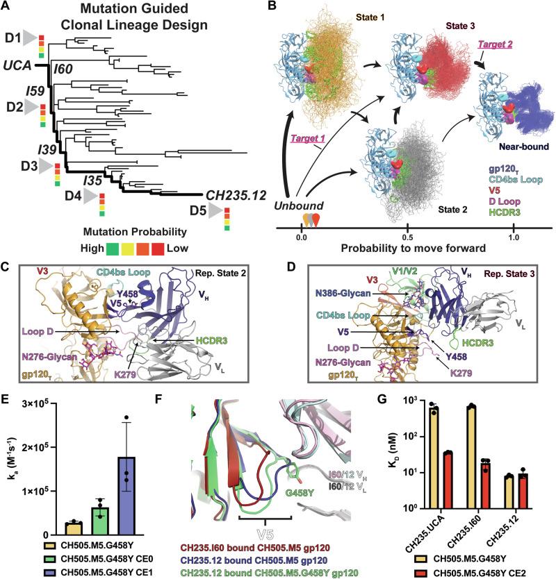 https://cdn.ncbi.nlm.nih.gov/pmc/blobs/9ca3/11532496/6724d13719ef/41467_2024_53120_Fig4_HTML.jpg