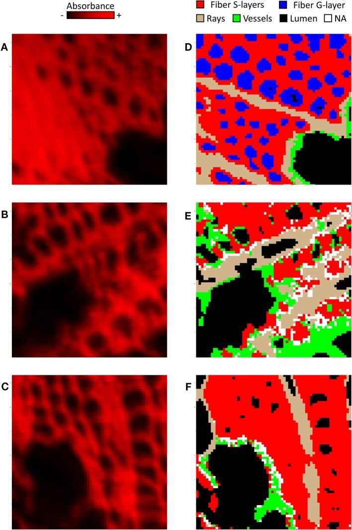 https://cdn.ncbi.nlm.nih.gov/pmc/blobs/9ca5/7047332/336dfe66ff2f/fpls-11-00105-g003.jpg
