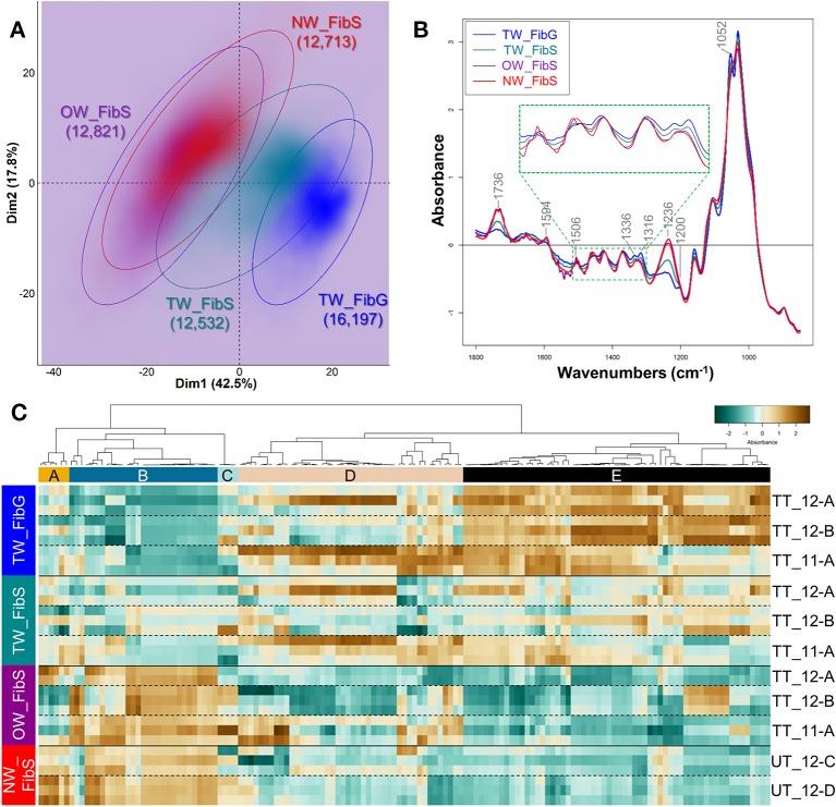 https://cdn.ncbi.nlm.nih.gov/pmc/blobs/9ca5/7047332/5bb9d617b2ba/fpls-11-00105-g004.jpg