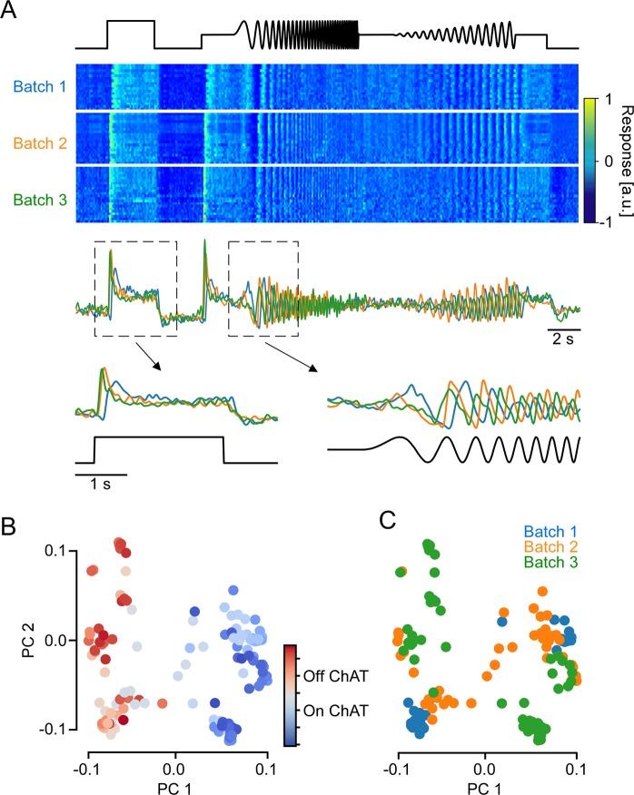 https://cdn.ncbi.nlm.nih.gov/pmc/blobs/9ca6/7064538/9459b80c8618/41598_2020_60214_Fig6_HTML.jpg