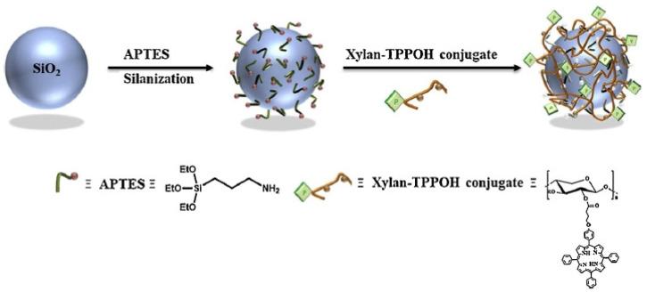 https://cdn.ncbi.nlm.nih.gov/pmc/blobs/9ca7/8659284/2cf2379efa88/molecules-26-07268-g016.jpg