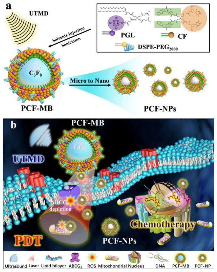 https://cdn.ncbi.nlm.nih.gov/pmc/blobs/9ca7/8659284/4017ad58c7e8/molecules-26-07268-g010.jpg
