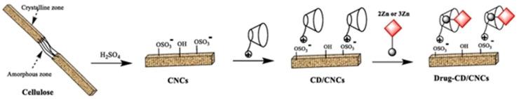 https://cdn.ncbi.nlm.nih.gov/pmc/blobs/9ca7/8659284/dba4a7814e45/molecules-26-07268-g012.jpg