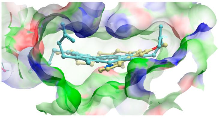 https://cdn.ncbi.nlm.nih.gov/pmc/blobs/9ca9/10604556/846719e5b09a/biomolecules-13-01485-g010.jpg