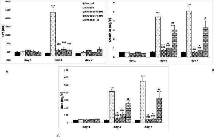 https://cdn.ncbi.nlm.nih.gov/pmc/blobs/9caa/9768857/16963ab5d53e/AJP-12-638-g002.jpg