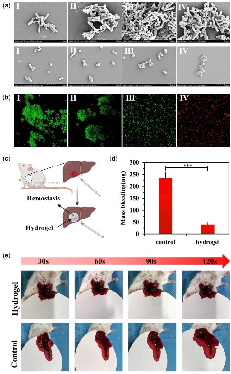 https://cdn.ncbi.nlm.nih.gov/pmc/blobs/9cac/10039733/6c06cee6fa7c/rbad018f4.jpg