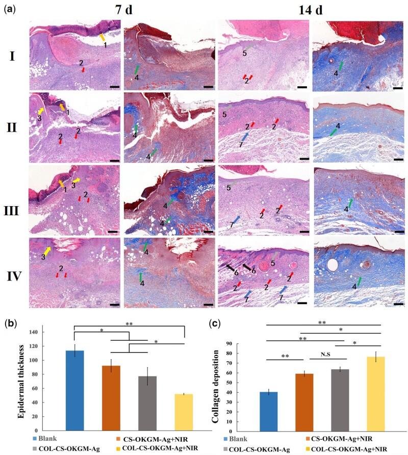 https://cdn.ncbi.nlm.nih.gov/pmc/blobs/9cac/10039733/ad44e17fd096/rbad018f6.jpg