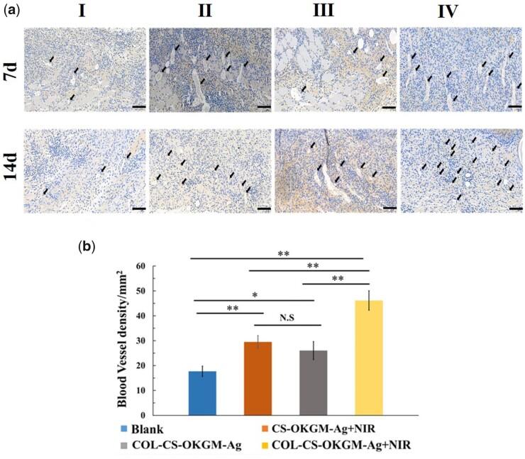 https://cdn.ncbi.nlm.nih.gov/pmc/blobs/9cac/10039733/eee596c1b5cd/rbad018f7.jpg