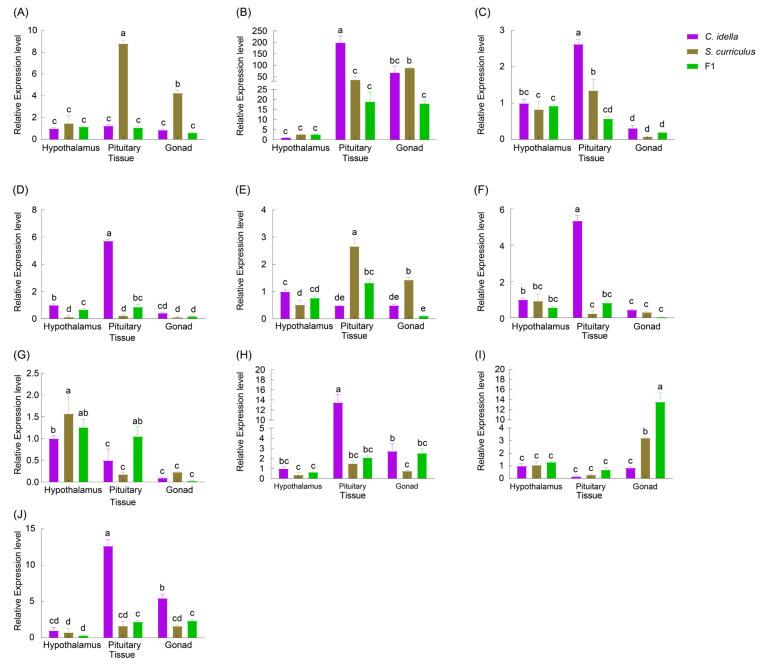 https://cdn.ncbi.nlm.nih.gov/pmc/blobs/9cac/11477168/fa70492cddd4/ijms-25-10566-g008.jpg
