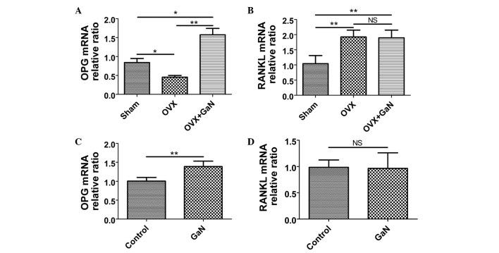https://cdn.ncbi.nlm.nih.gov/pmc/blobs/9cac/4686028/91c0974ec2c0/MMR-13-01-0769-g05.jpg