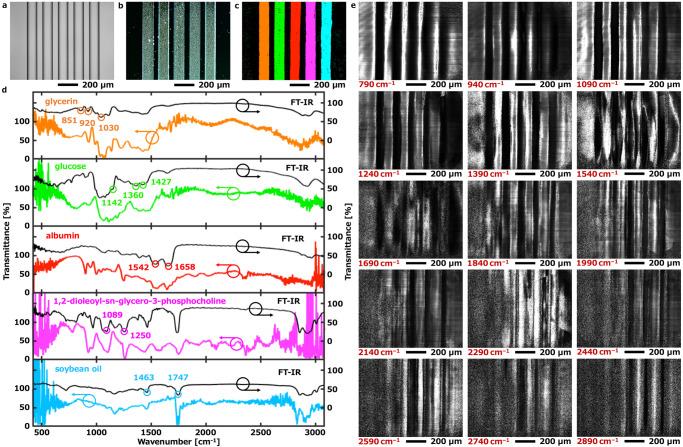 https://cdn.ncbi.nlm.nih.gov/pmc/blobs/9caf/10319884/2b324dd7ecb6/41467_2023_39628_Fig3_HTML.jpg