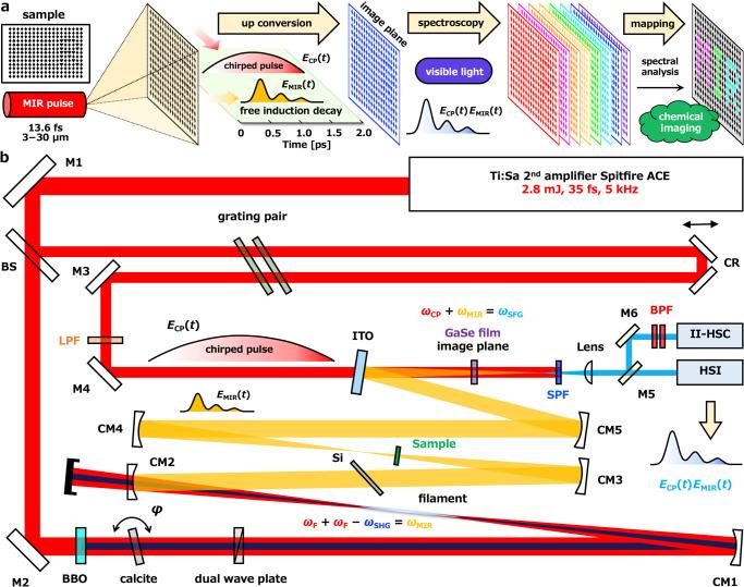 https://cdn.ncbi.nlm.nih.gov/pmc/blobs/9caf/10319884/599c081d32b6/41467_2023_39628_Fig1_HTML.jpg