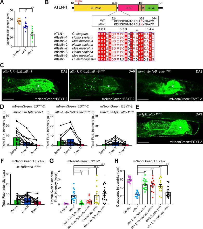 https://cdn.ncbi.nlm.nih.gov/pmc/blobs/9cb0/8507493/08f43b1480b0/LSA-2021-01092_FigS5.jpg