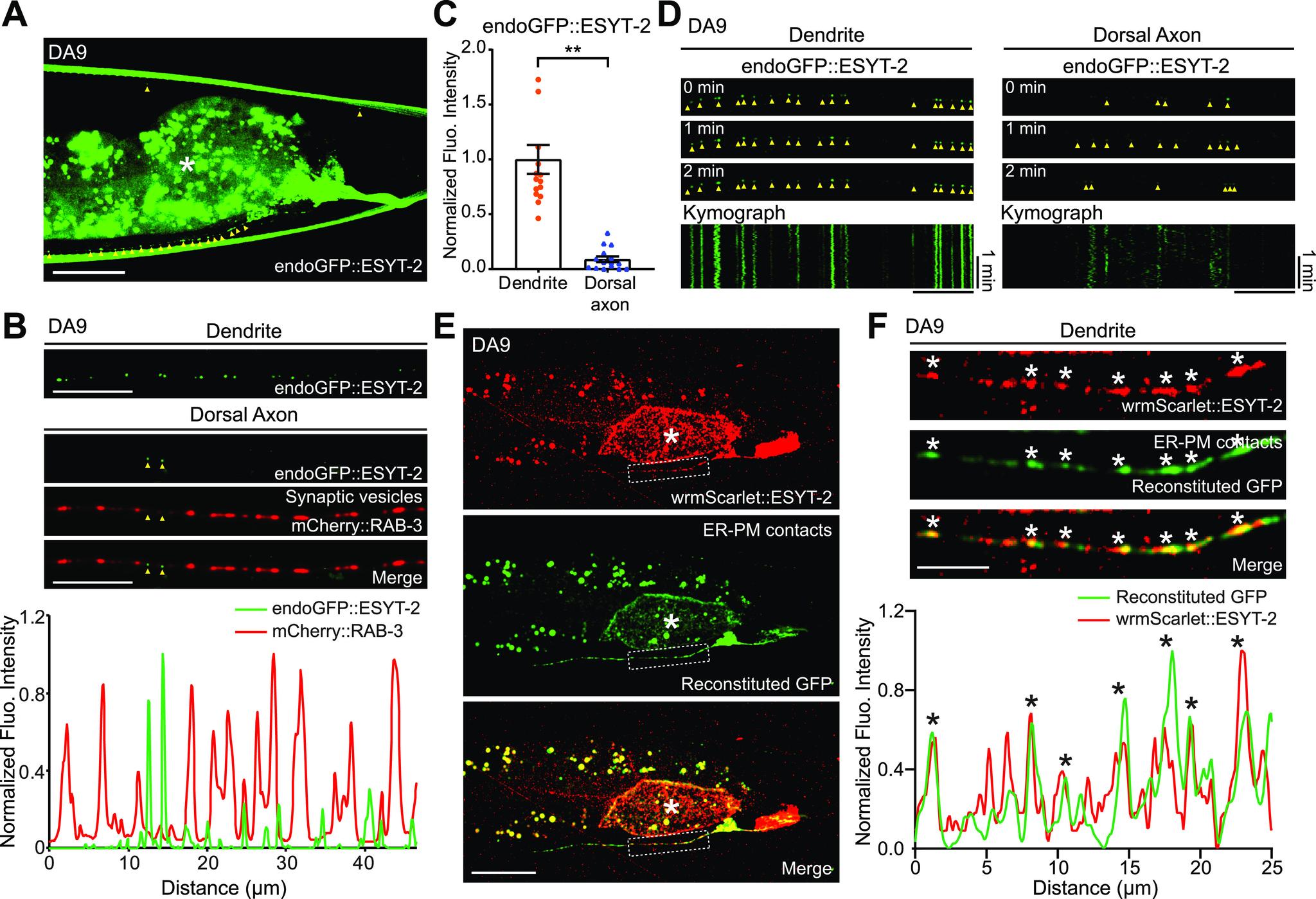 https://cdn.ncbi.nlm.nih.gov/pmc/blobs/9cb0/8507493/8e508288850c/LSA-2021-01092_Fig2.jpg