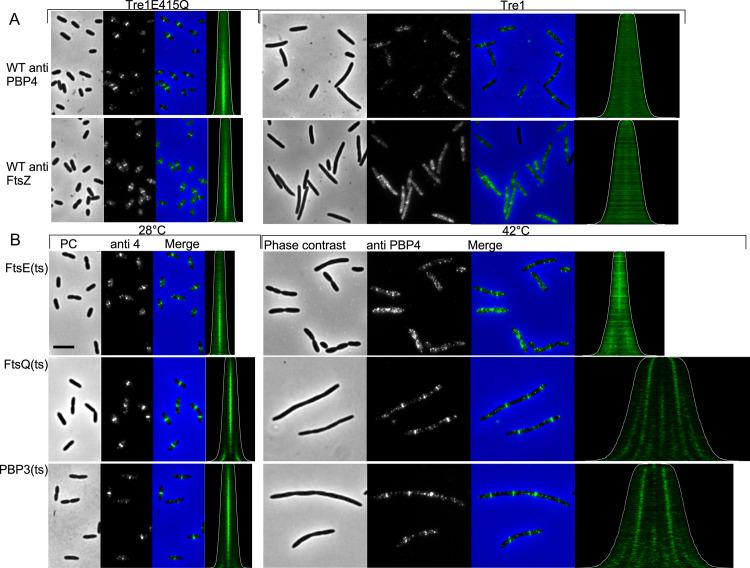 https://cdn.ncbi.nlm.nih.gov/pmc/blobs/9cb0/9166362/2dbf439b2a32/pgen.1010222.g003.jpg