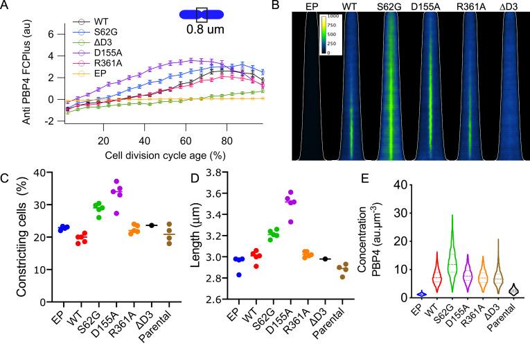 https://cdn.ncbi.nlm.nih.gov/pmc/blobs/9cb0/9166362/4fb99de88493/pgen.1010222.g005.jpg