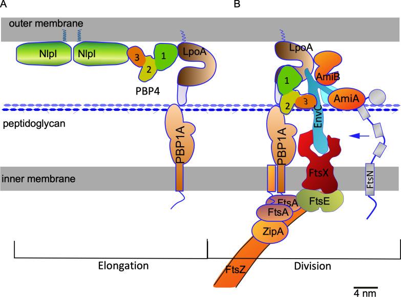 https://cdn.ncbi.nlm.nih.gov/pmc/blobs/9cb0/9166362/6ef2cbe6f380/pgen.1010222.g009.jpg