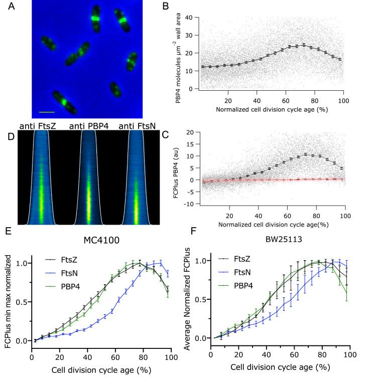 https://cdn.ncbi.nlm.nih.gov/pmc/blobs/9cb0/9166362/77fab02a3606/pgen.1010222.g002.jpg