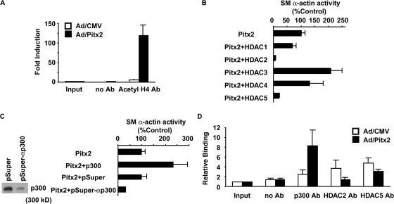 https://cdn.ncbi.nlm.nih.gov/pmc/blobs/9cb1/2364692/29bc752d8b06/jcb1810461f06.jpg