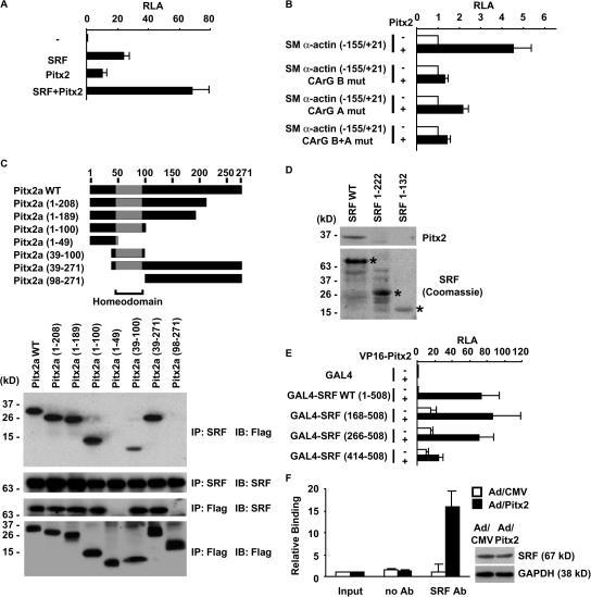 https://cdn.ncbi.nlm.nih.gov/pmc/blobs/9cb1/2364692/718cd3e8f0cd/jcb1810461f05.jpg