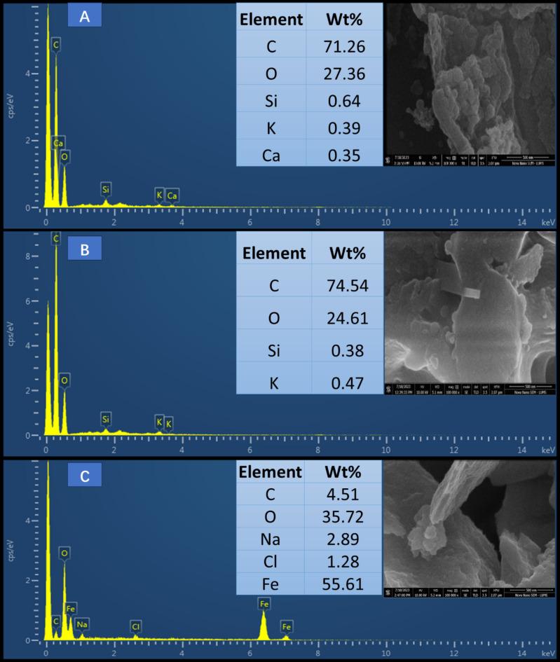 https://cdn.ncbi.nlm.nih.gov/pmc/blobs/9cb2/11452486/8895420c0ad6/41598_2024_73734_Fig6_HTML.jpg