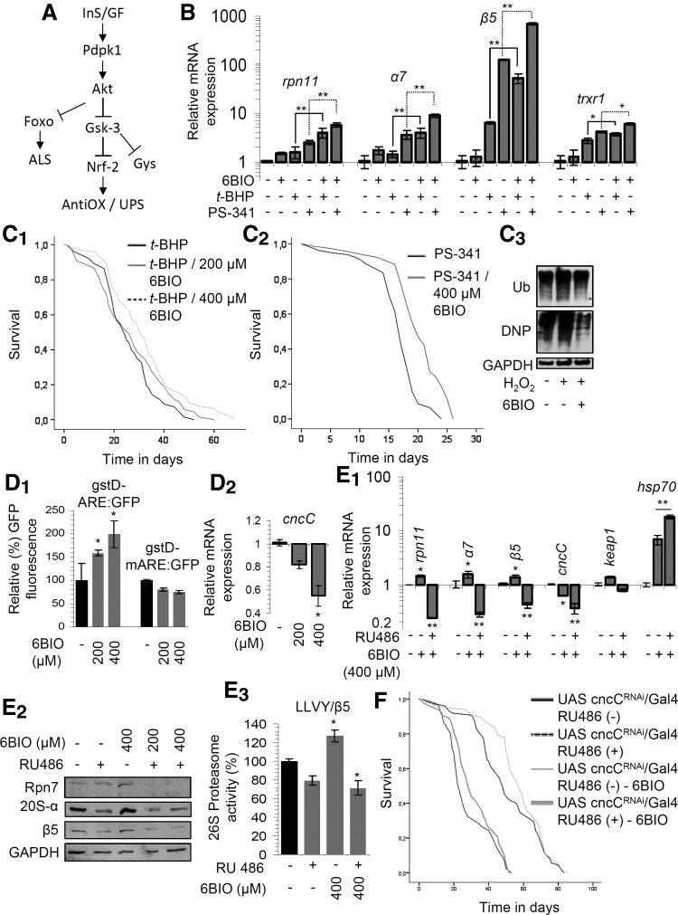 https://cdn.ncbi.nlm.nih.gov/pmc/blobs/9cb3/5651956/1ac8ef6cdbd6/fig-3.jpg