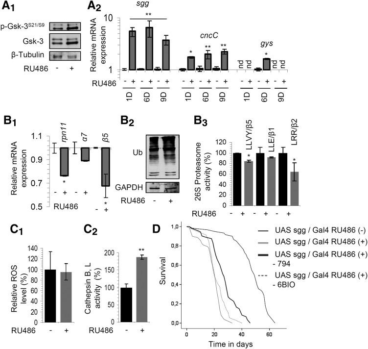 https://cdn.ncbi.nlm.nih.gov/pmc/blobs/9cb3/5651956/648e3e78e957/fig-5.jpg