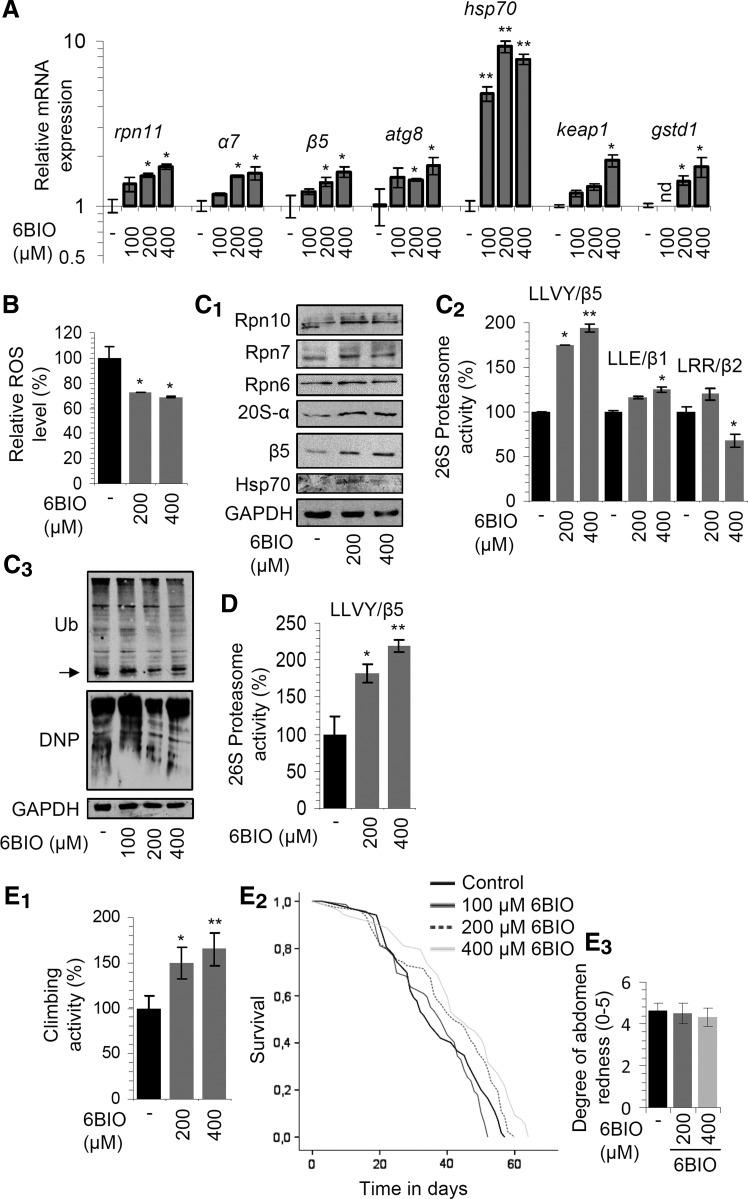 https://cdn.ncbi.nlm.nih.gov/pmc/blobs/9cb3/5651956/972a4d6b2c87/fig-1.jpg