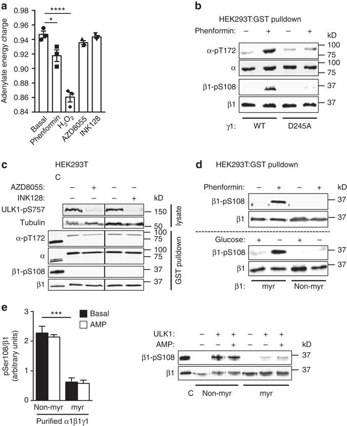 https://cdn.ncbi.nlm.nih.gov/pmc/blobs/9cb4/5603566/83f0f174c043/41467_2017_628_Fig7_HTML.jpg