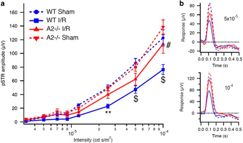 https://cdn.ncbi.nlm.nih.gov/pmc/blobs/9cb7/5260867/82e9f9660714/cddis2016295f8.jpg