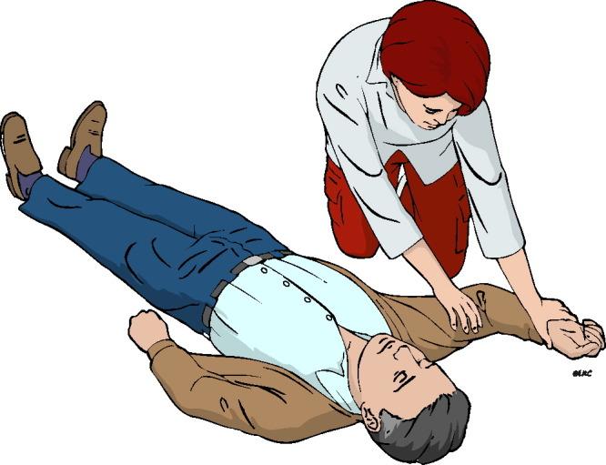 https://cdn.ncbi.nlm.nih.gov/pmc/blobs/9cb7/7116923/41debf469624/gr13_lrg.jpg