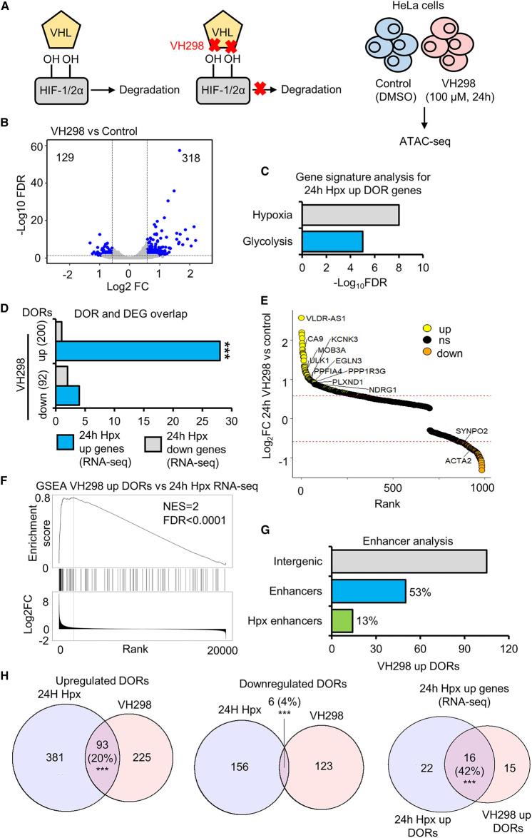 https://cdn.ncbi.nlm.nih.gov/pmc/blobs/9cb7/9022986/243bcd6a7a9f/BCJ-479-767-g0004.jpg
