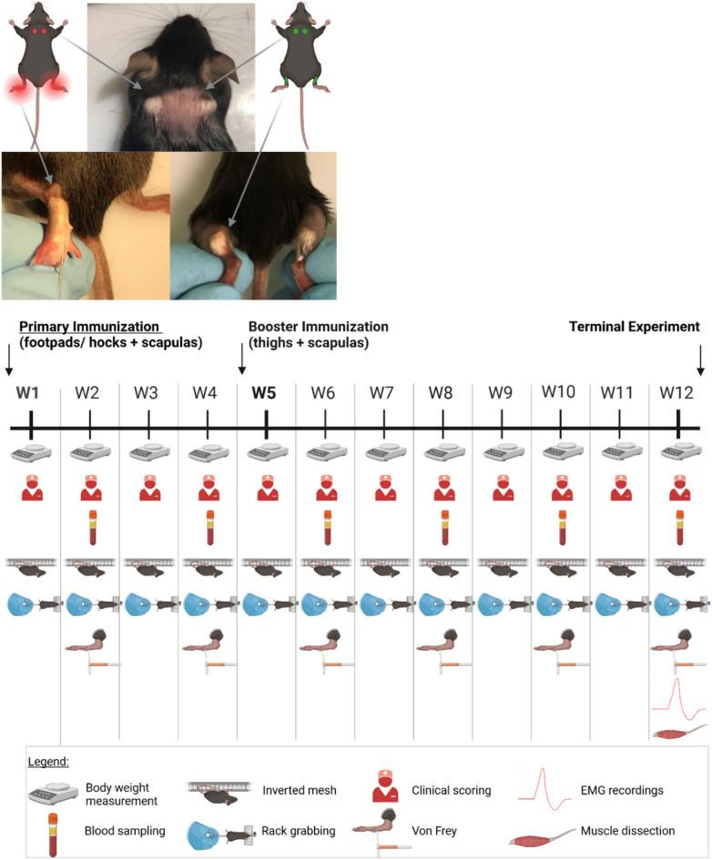 https://cdn.ncbi.nlm.nih.gov/pmc/blobs/9cba/12397260/eb9f7eb2aeaa/41598_2025_12446_Fig1_HTML.jpg