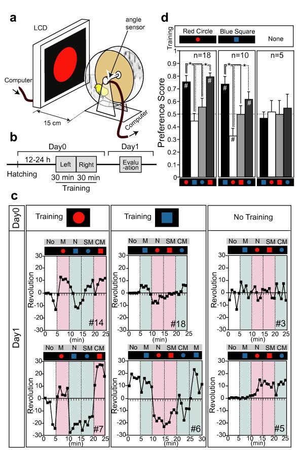 https://cdn.ncbi.nlm.nih.gov/pmc/blobs/9cba/1657023/ac312ebebfd5/1471-2202-7-75-1.jpg