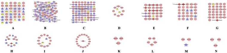 https://cdn.ncbi.nlm.nih.gov/pmc/blobs/9cbb/5715142/3bd8b80b0052/41598_2017_17139_Fig5_HTML.jpg